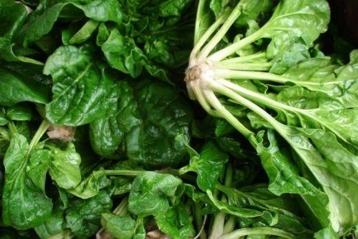 The Swag - Storing Spinach, Kale & Leafy Greens