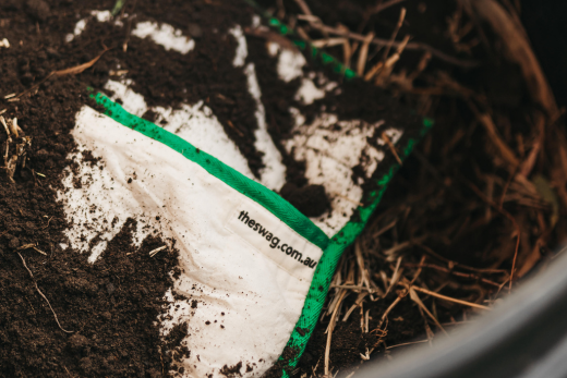 Waste Free Living 101: Why Compostable Products Matter